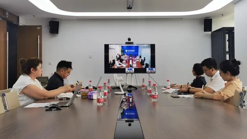 金普创新汇丨中关村独角兽企业升哲科技参加金普新区云上对接会 信息技术咨询服务